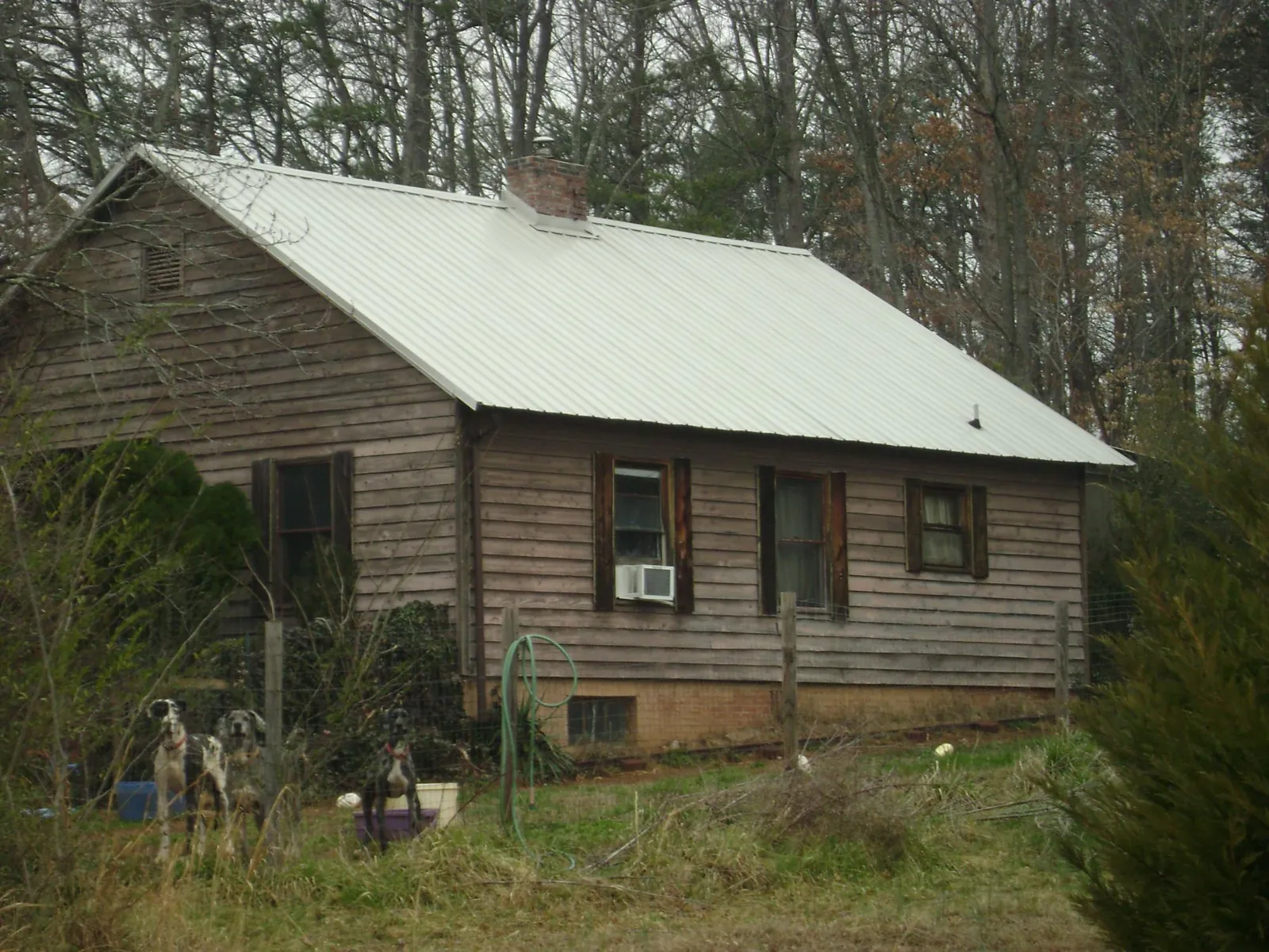 White metal roof on an old wood sided farmhouse, from a Asphalt Shingle Roof Repair job in Lenore